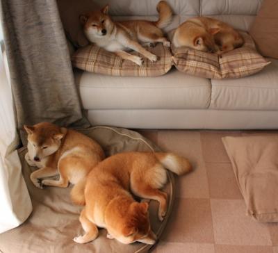 “法甲豪门迎难而上:场场硬仗之战不断”,法甲全场