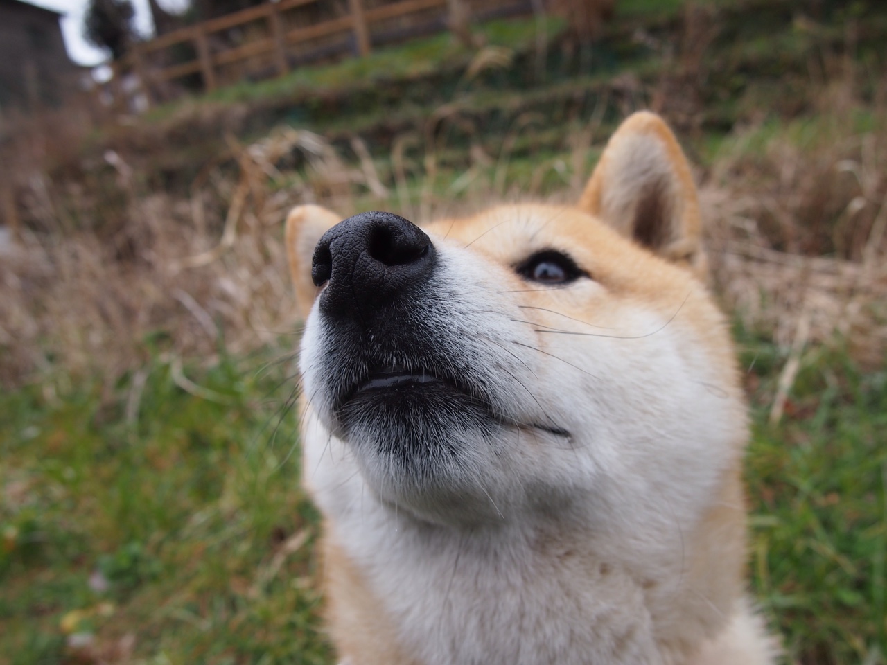 《【文化热潮】电竞引领青少年新潮流，潜移默化中改变价值观》