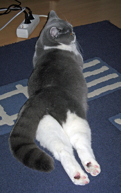 特色篮球赛事加入“体育+旅游”创新发展战略，篮球特色活动