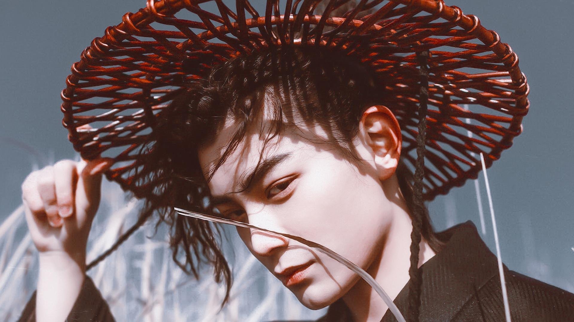 开云平台-看海豚飞跃，海边的趣味运动体验，海豚的运动规律动画