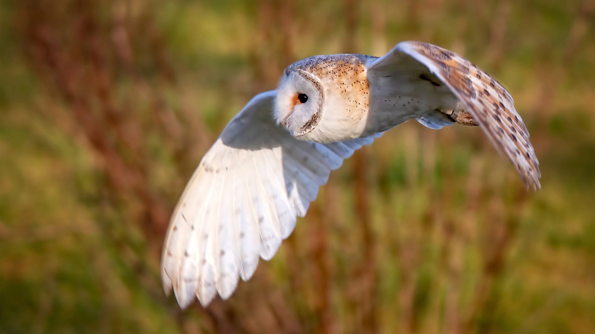 多线作战是否成为中下游球队晋级阻碍,多线并举是什么意思