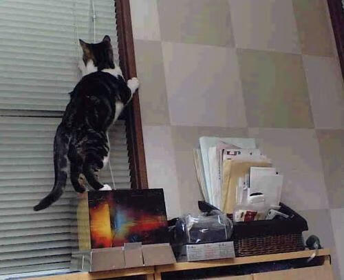 Kaiyun(中国)开云-欧国联比赛：黑山队客场战胜芬兰队，黑山对挪威比赛预测