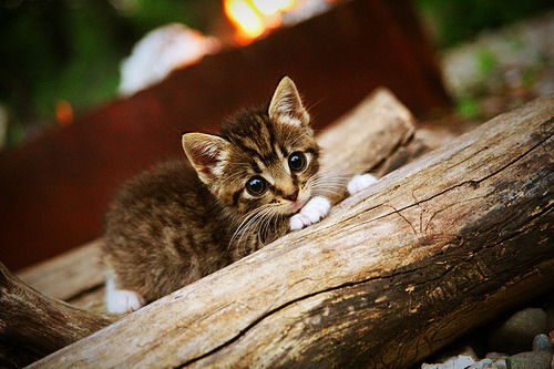 Kaiyun官方登录入口-欧国联赛业余联赛迎来高潮，球迷狂热，欧国联赛2021