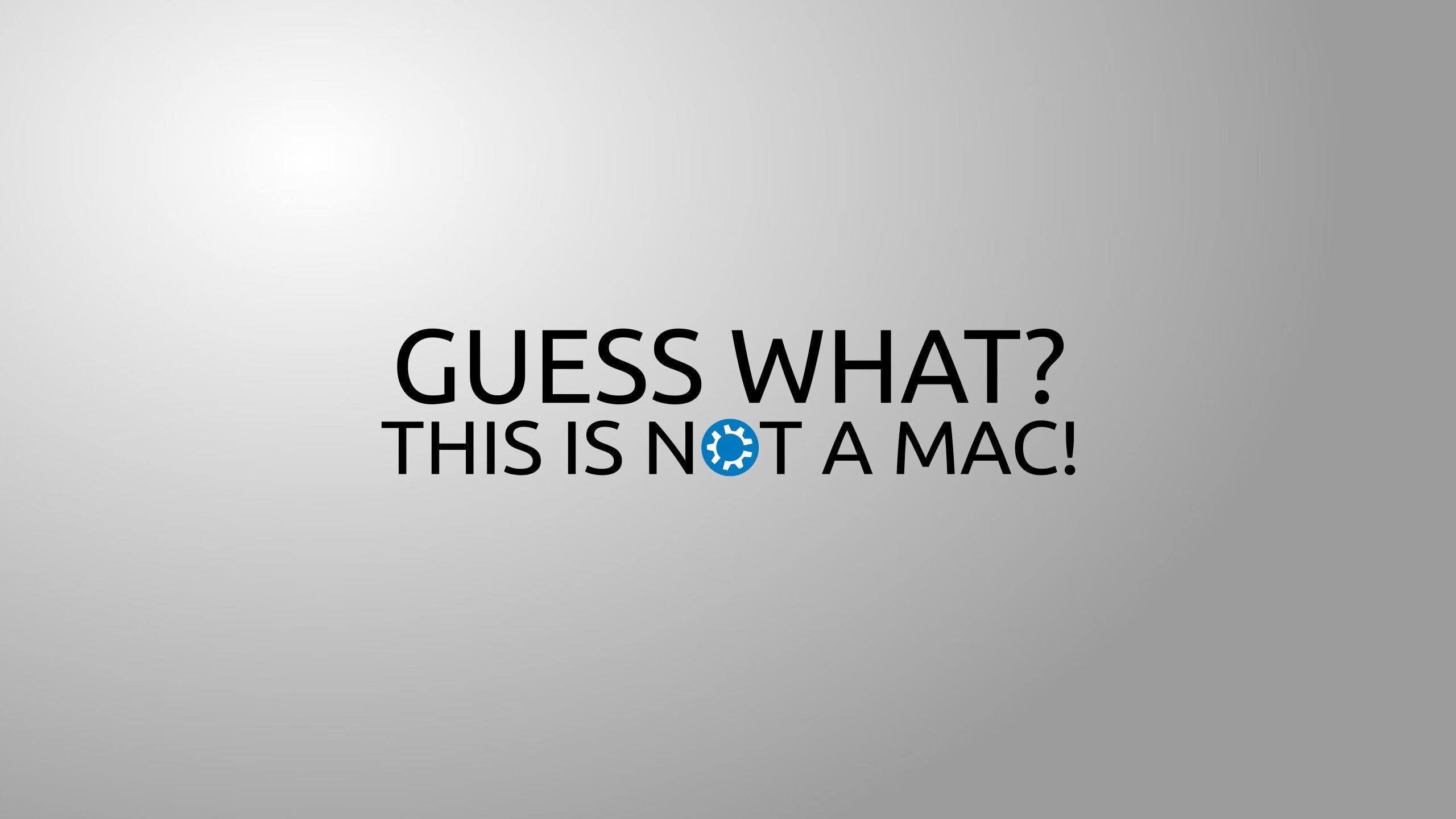 缅因凯尔特人队员训练营开幕，凯米尔缅因猫多少钱