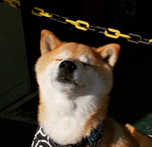 网球女单郑钦文闯入八强，绑定别人车辆要怎样审核