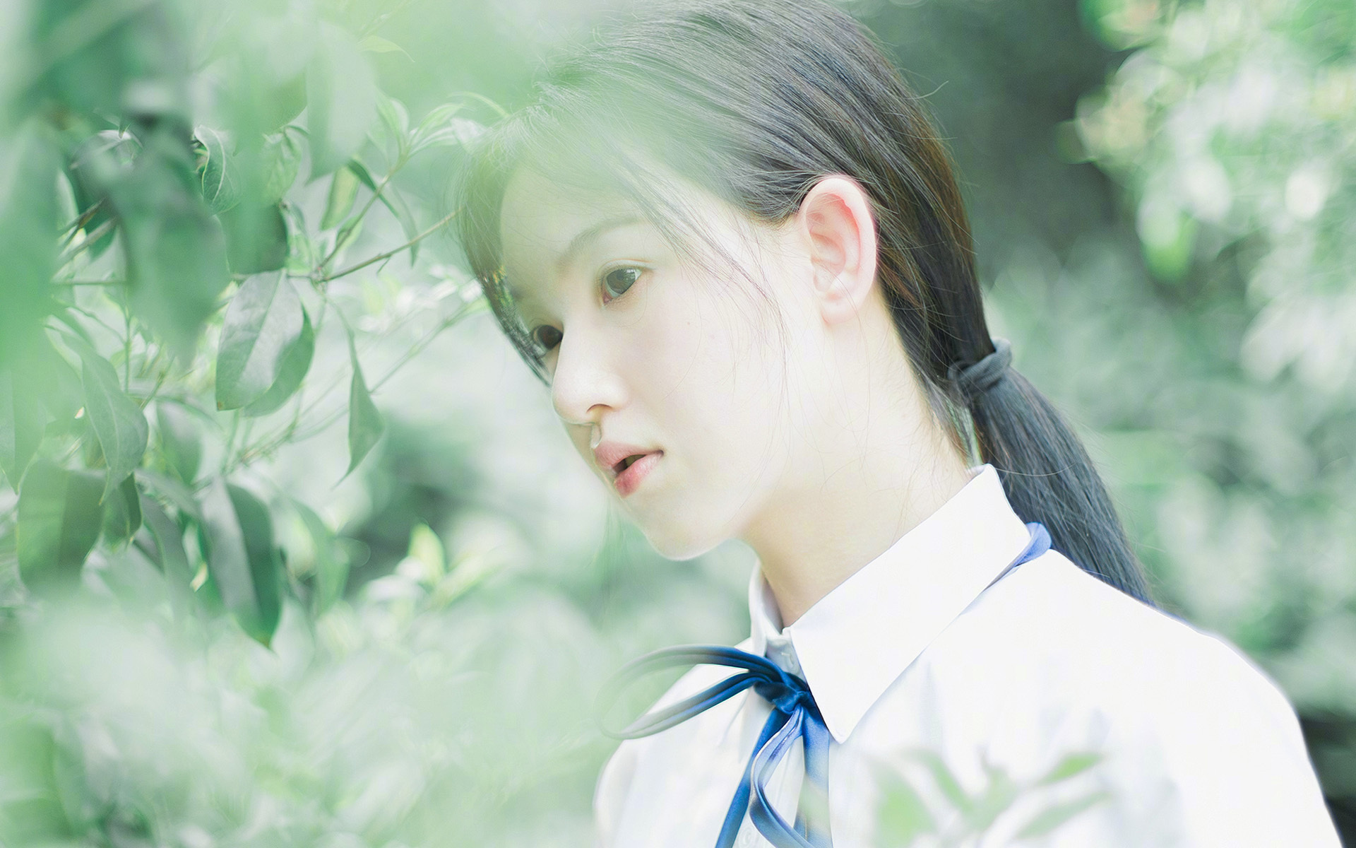 雄鹿队主教练重申团队目标，全力打造王者之师，雄鹿教练是谁