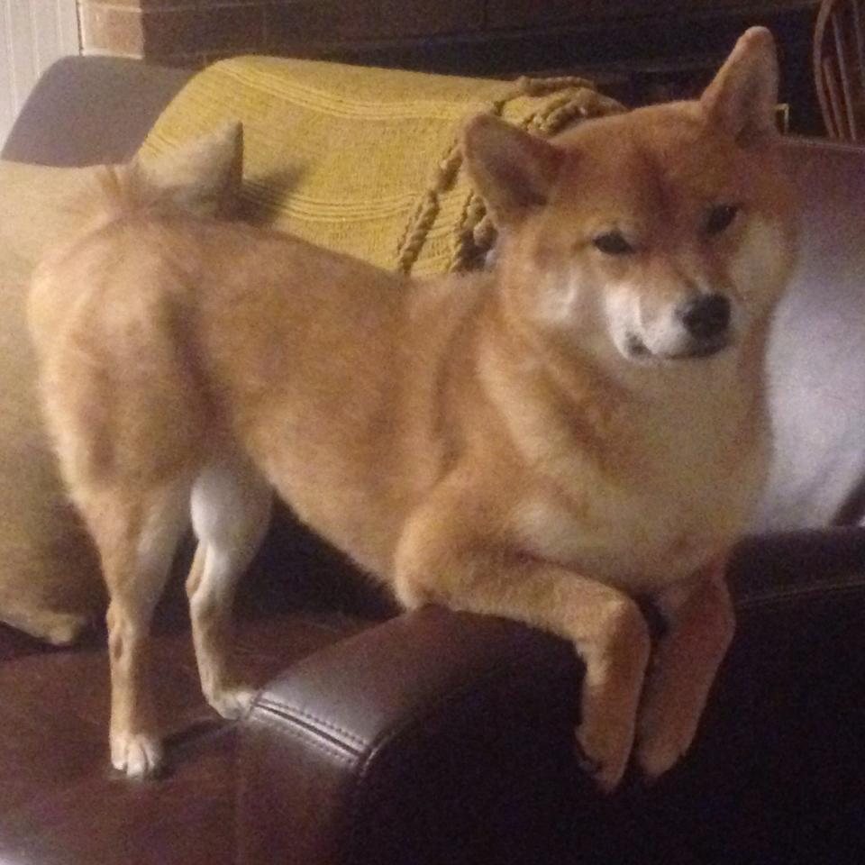 奥预赛中国足球复仇 数据分析成焦点,国足奥运比赛