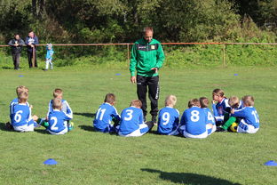 开云官网-澳大利亚队如何通过团队赛制战术，在大赛中脱颖而出，澳大利亚队伍