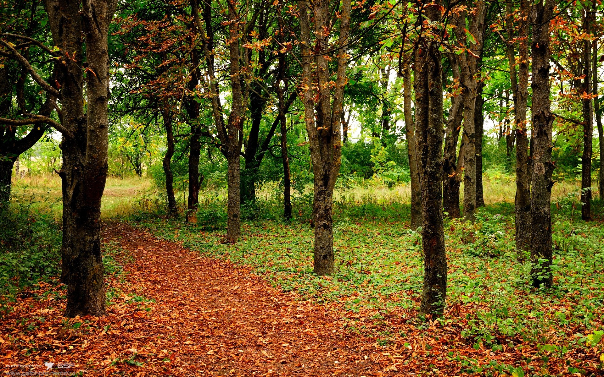 联盟节奏榜前列球队是否具备更强攻击欲望