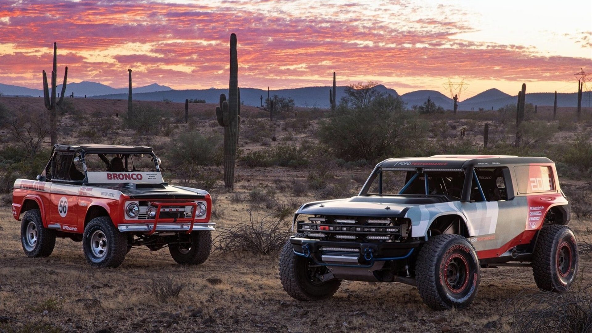 掘金小将加练投篮展现稳定成长势头，掘金打法