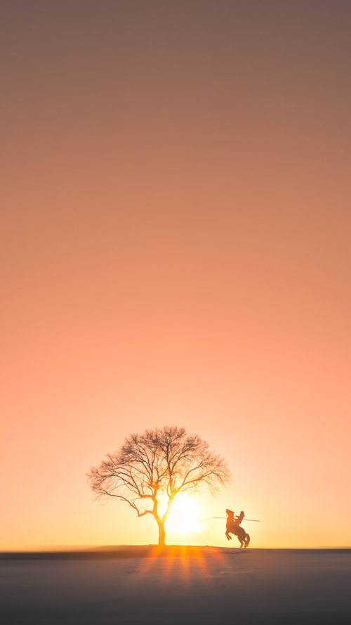 开云网页版-苏炳添提前出线田径世锦赛，苏炳添世锦赛抢跑